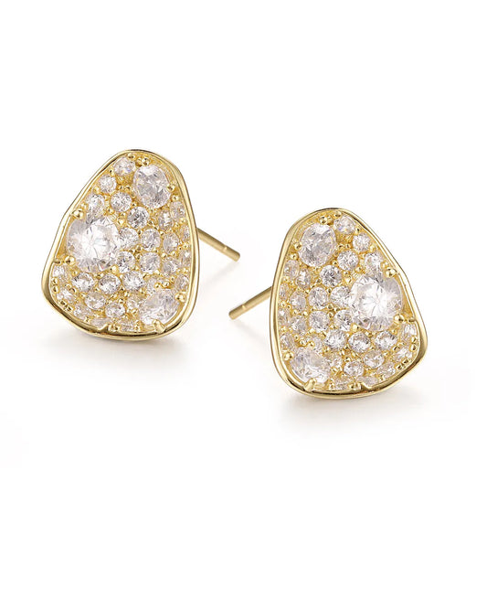 Luxury Hollow Design Earrings