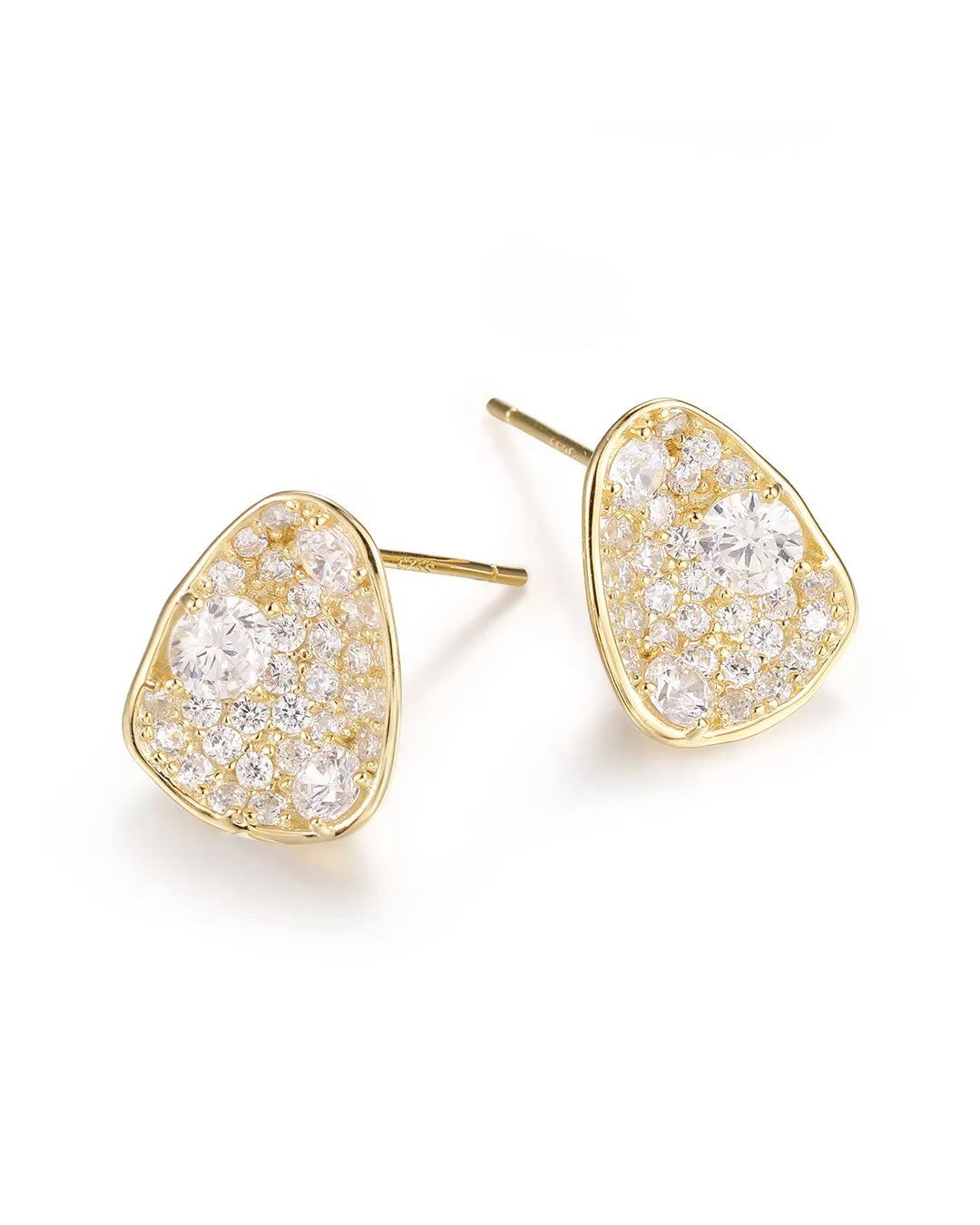 Luxury Hollow Design Earrings